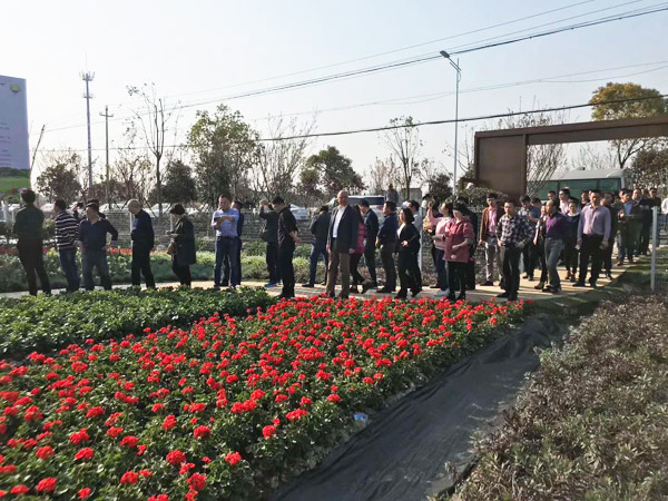 Zhejiang Pinghu flower Industrial Park
